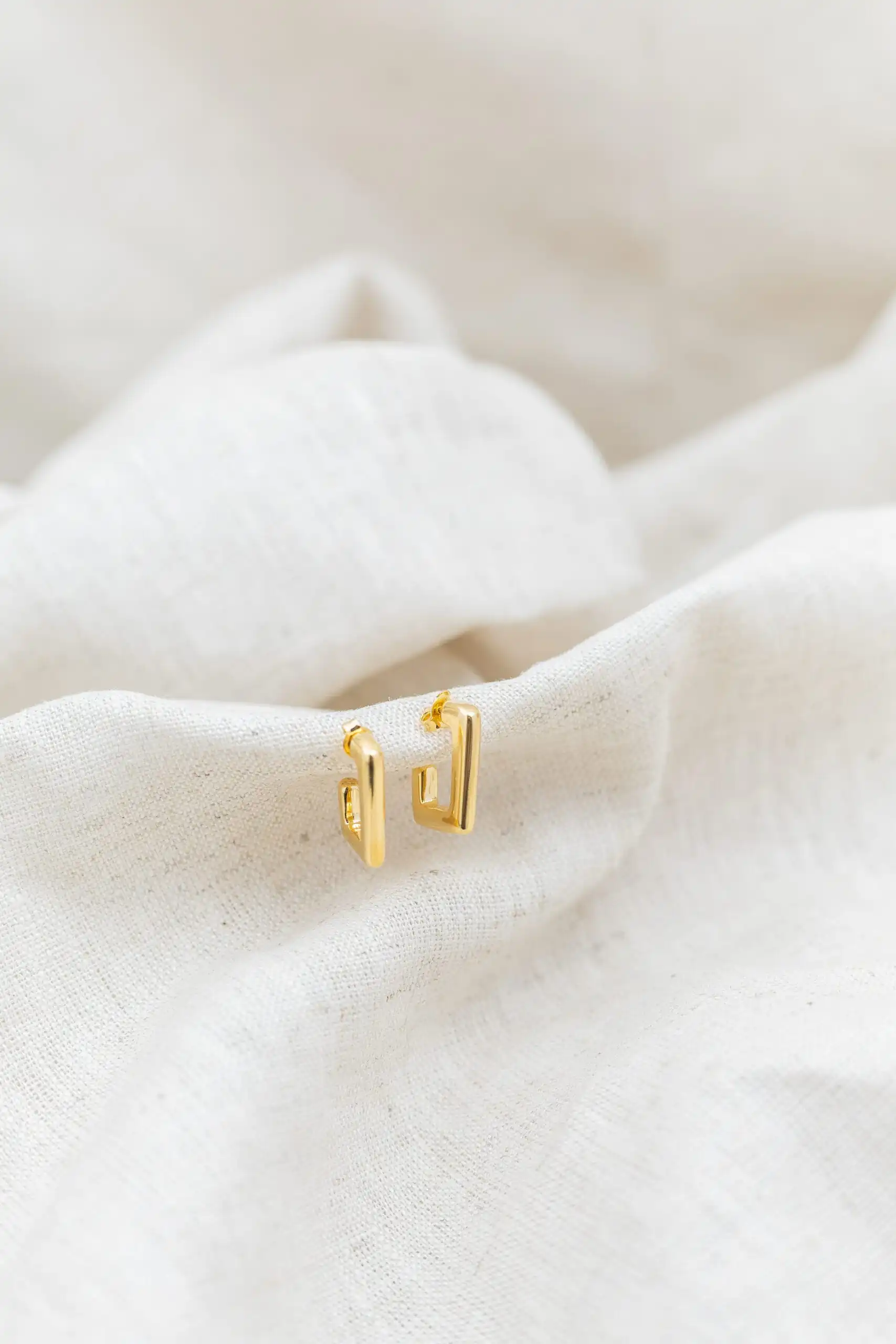 Brinco Argola Curvada Banhada em Ouro 18k