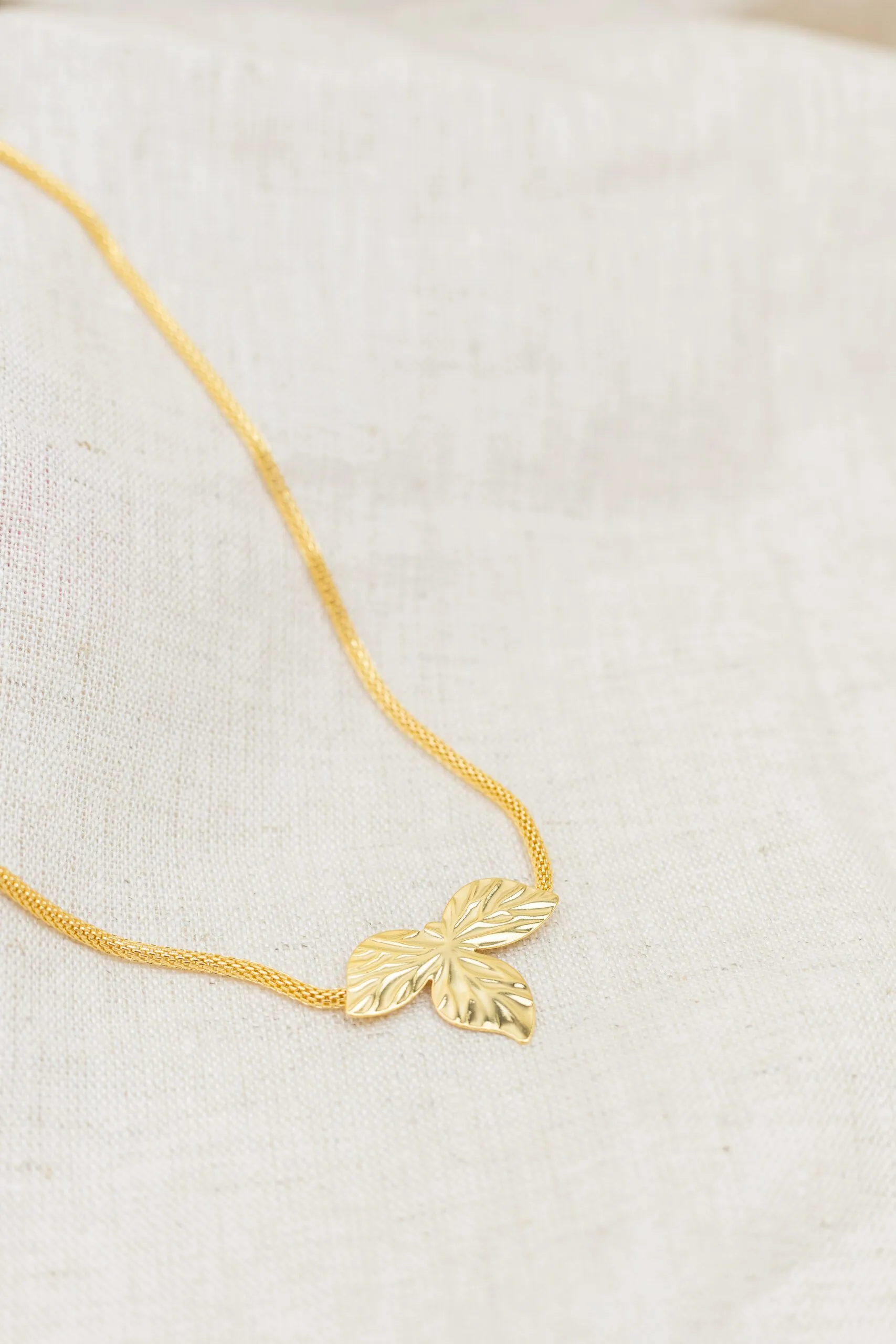 Choker Folha Banhado em Ouro 18kChoker Folha Banhado em Ouro 18kChoker Folha Banhado em Ouro 18k